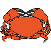 Crab