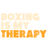 boxing martial arts