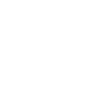 Drone Evolution Pilot