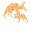 Aardvark Aardvark Amant