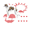 J'aime mon Barzoï