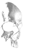 Dead Japanese - death