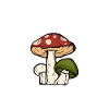 mushroom