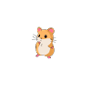 Hamster