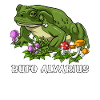 Bufo Alvarius Toad