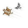 Race bat against flying squirrels