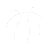 Basketball - Ball