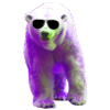 Polar Bear - Eisbär