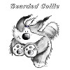 Running Bearded Collie