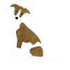 Whippet