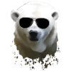 Polar Bear - Eisbär