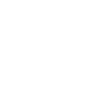 Driving licence