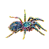 tarantula