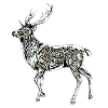 deer