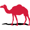 camel