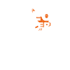 Bird pigeons
