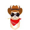 Hasta Llama Vista