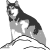 Alaskan Malamut silhouette