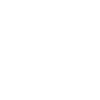 Minimalist flower