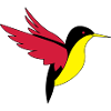 bird_02
