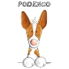 Happy Podenco Canario