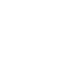 lawyer