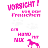 Hund Hundebesitzer Tierliebe