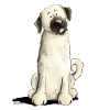 Cane divertente del fumetto di Kangal I.