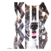 Akita NASSU VI