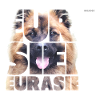 Eurasier I