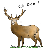 Oh Deer, cerf