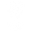 musiklehrer