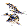 Dolphins