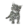 Chatons