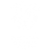 chefarzt
