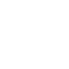 British Shorthair cat