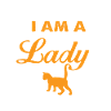 Cat owner gift