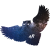 Spaceeule