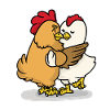 Loving chickens Loving Chickens