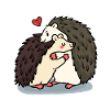 Câlin d'amour de hérisson