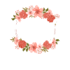 occupational Therapy
