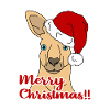 christmas kangaroo