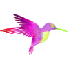 Kolibri bunt