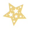 Christmas star
