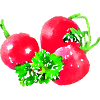 radish