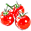 la tomate