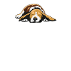 Beagle Gift Shirt