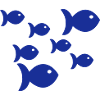 fish 001