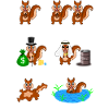 écureuils, écureuils, écureuils, cheikhs,
