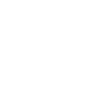 Evolution Ramoneur